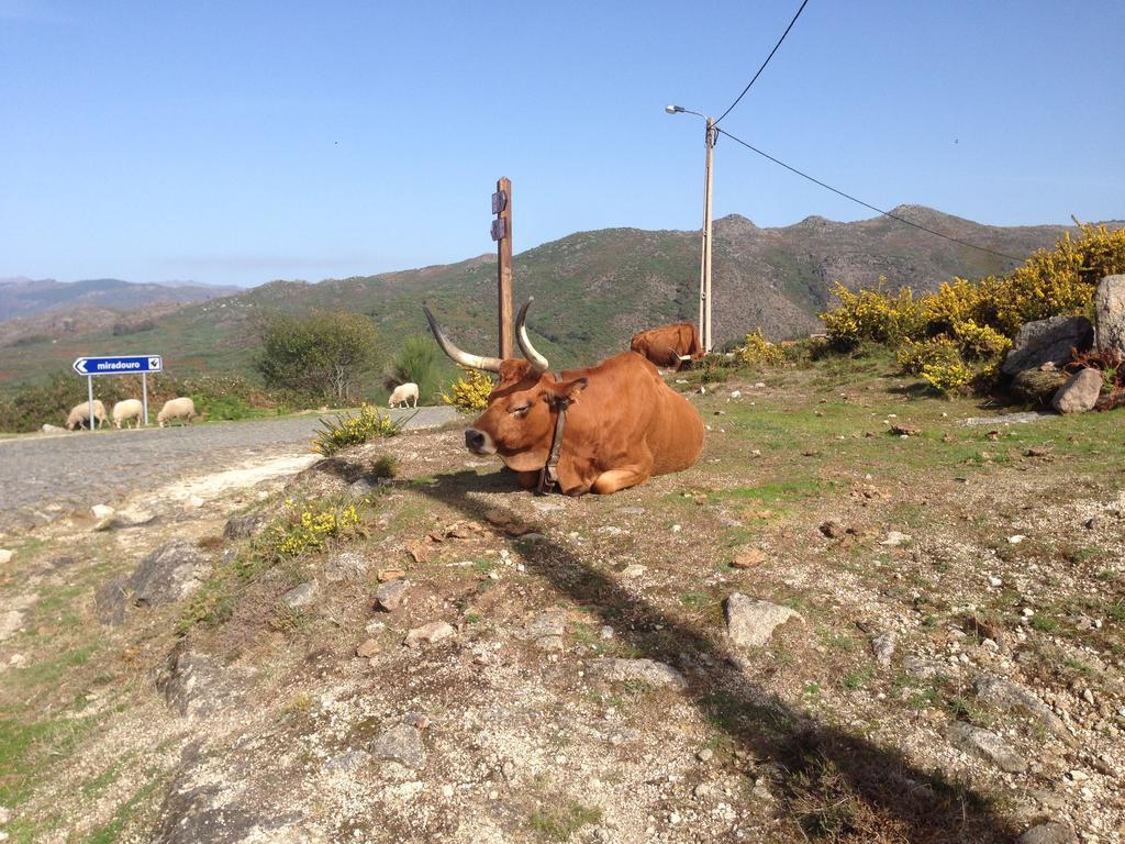 Cantinho Redondo Geres Entre Ambos os Rios Εξωτερικό φωτογραφία